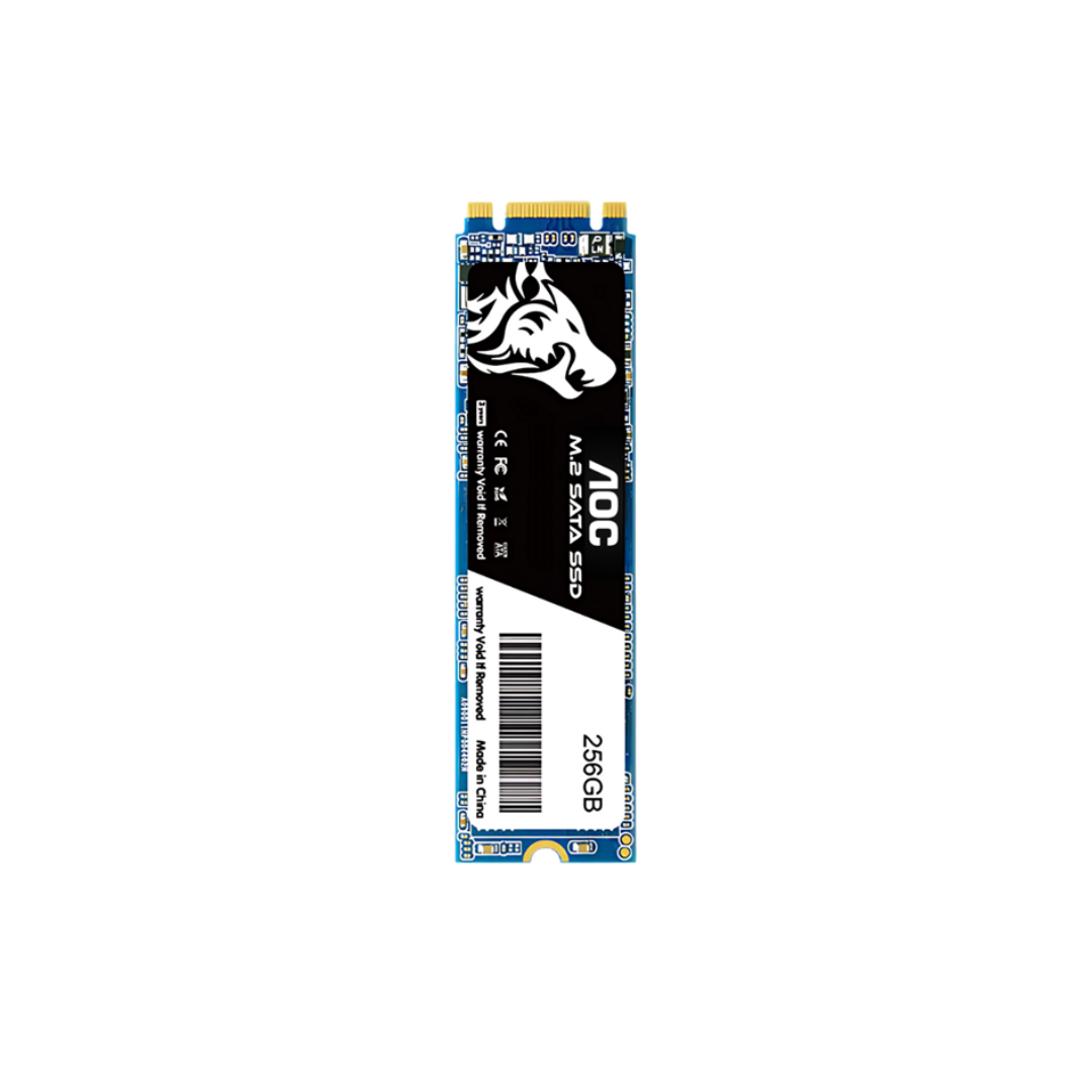 AOC 512GB M.2 SATA SSD (2280)