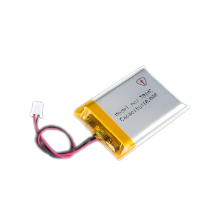 Lithium Polymer Battery 10000mAh - Pouch cell