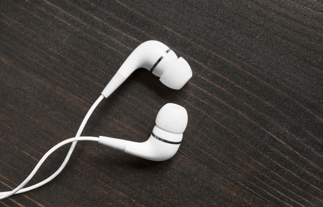 Wired Earphones
